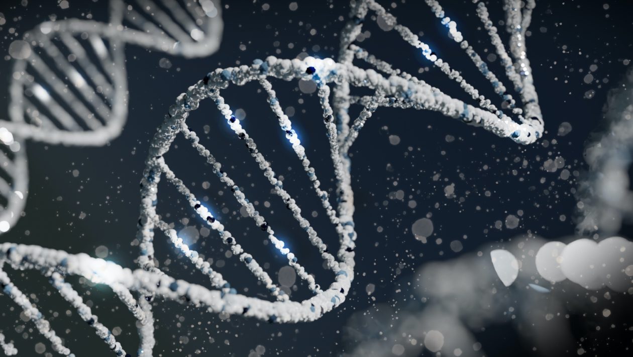 CRISPR gene editing DNA