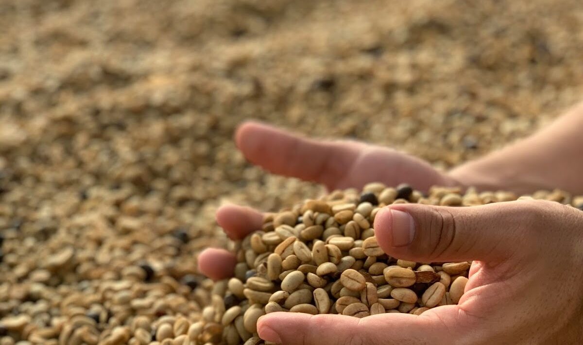 Grain and Soybean Futures Rise as Demand Signals Strengthen