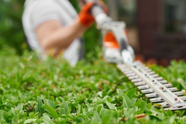 Landscaping in Kansas City, KS Is Booming at the End of the Winter Season